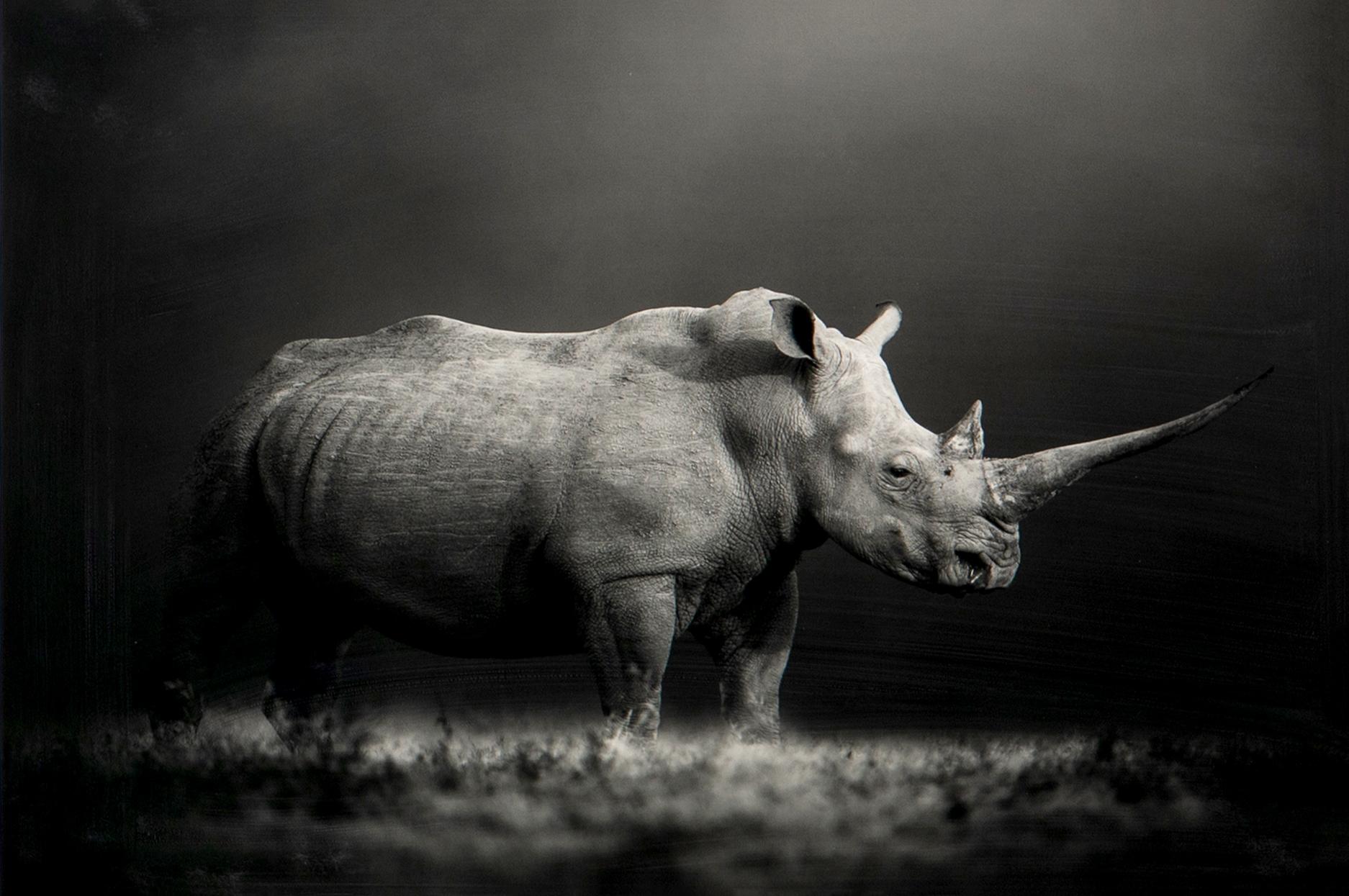 Björn Persson, "Natural Power", 2023.