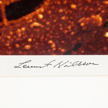 LENNART NILSSON, cibachrome signed by Nilsson and Häägg numbered 22/75.