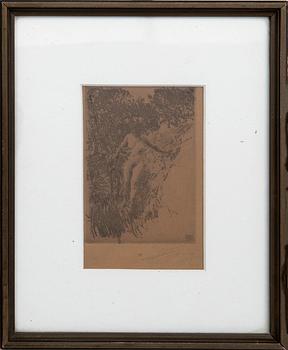 Anders Zorn, Buskage.