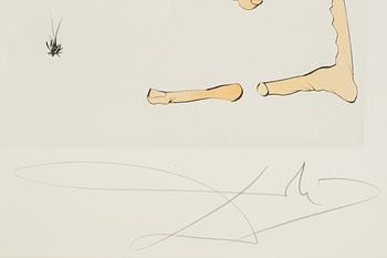 Salvador Dalí, Dalí, drypoint coloured with stencil, 1975, signed 266/300.