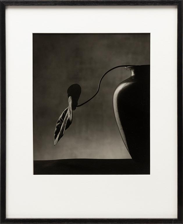 Christian Coigny, "Vase Noir", 1988.