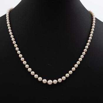 Necklace, with graduated cultured pearls, clasp in 9K gold with English hallmarks from Birmingham, set with a ruby.