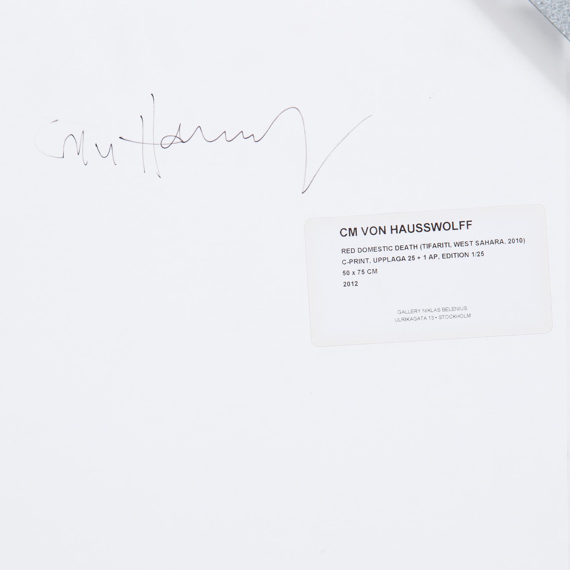 CARL MICHAEL VON HAUSSWOLF, C-print, 1/25, 2012.