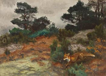 Bruno Liljefors, Fox in a autumn landscape.