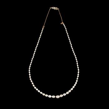 COLLIER med äkta samt odlade pärlor, lås i 18k guld.