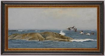 Bruno Liljefors, Stretching eiders.