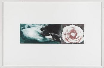 Melek Mazici, Nimetön.