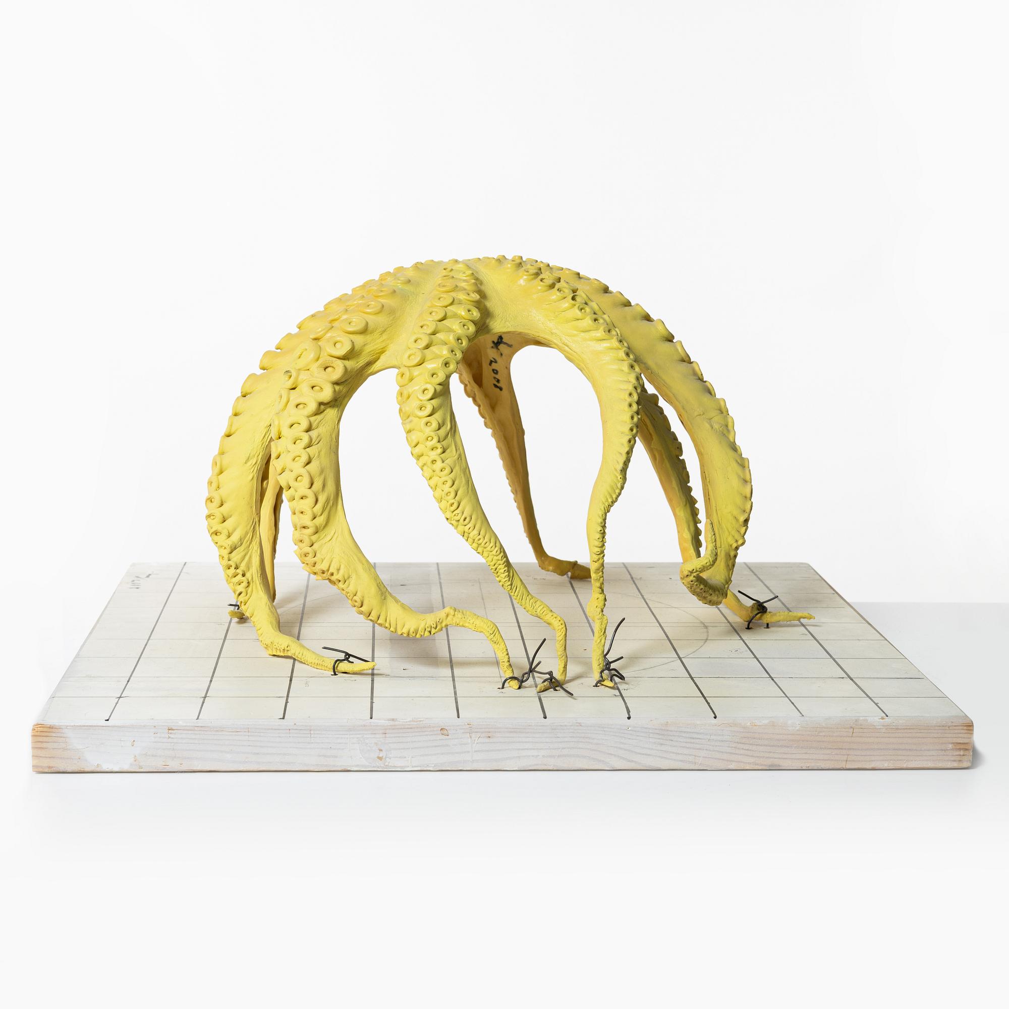 Ulf Rollof, "Model for 2008 UNDER".