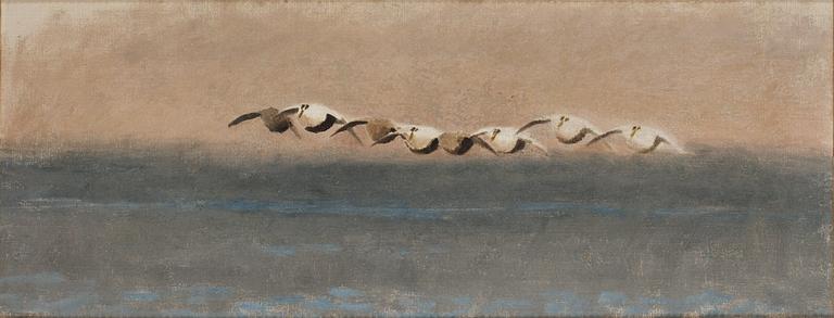 Bruno Liljefors, Sjöfåglar.