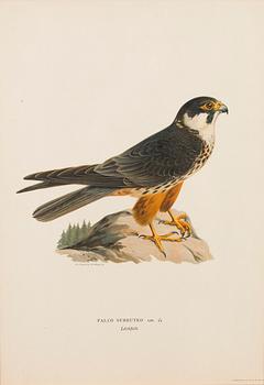 LITHOGRAPHS, 4 pcs, after Wilhelm von Wright and Bror Hallberg. A. Börtzell, Stockholm.