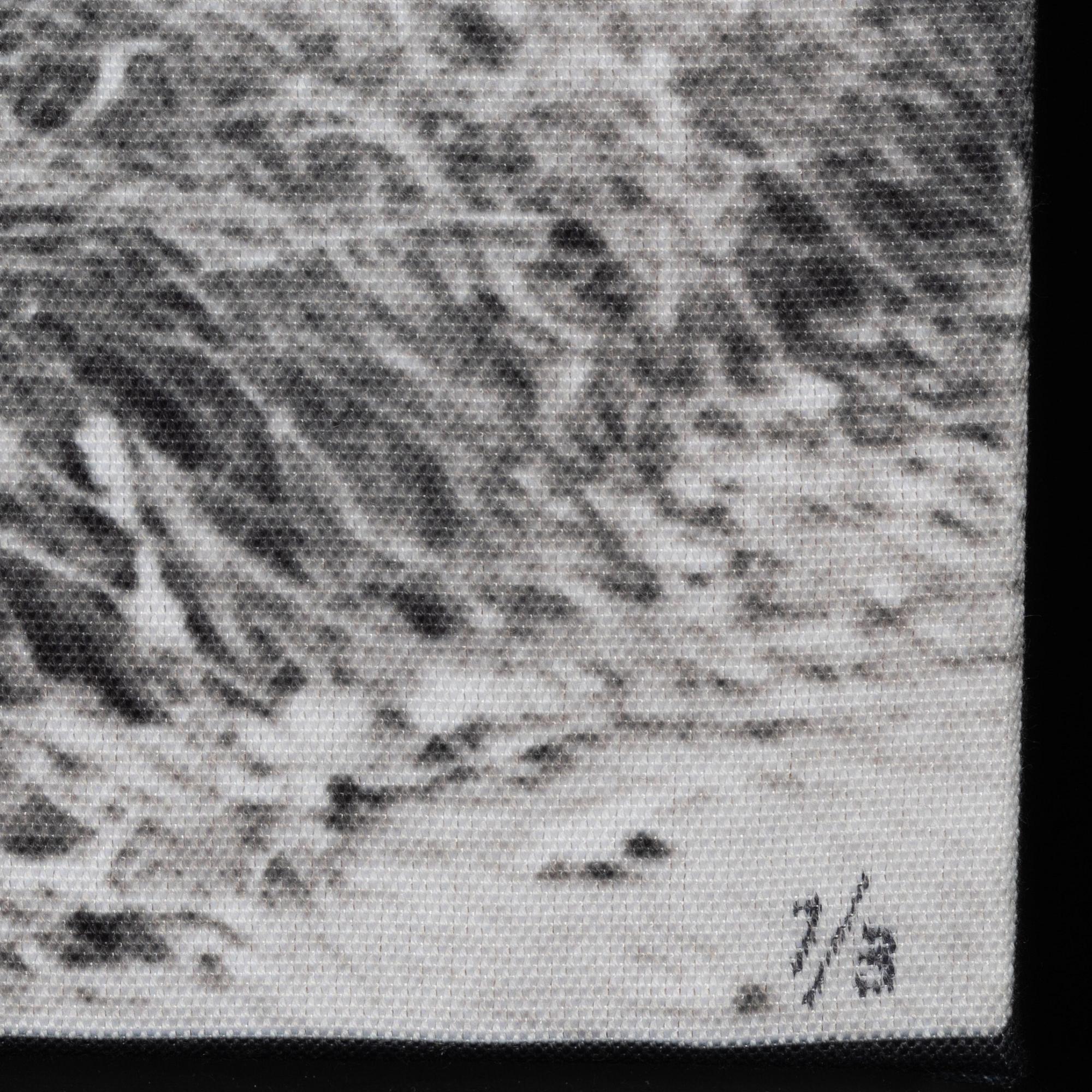 Carl Johan De Geer, photo sublimation signed and dated 1958-2007. Numbered 1/3.