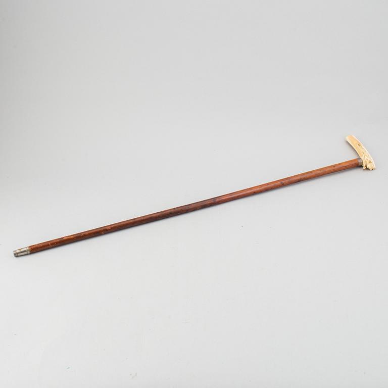 A wooden cane with bone handle, aroudn the year 1900.