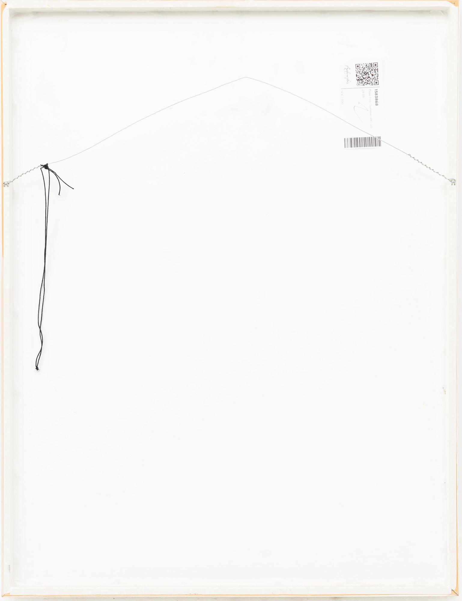 Peter Frie, "Sommarnatt".