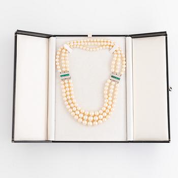 A three strand cultured pearl necklace/bracelet.