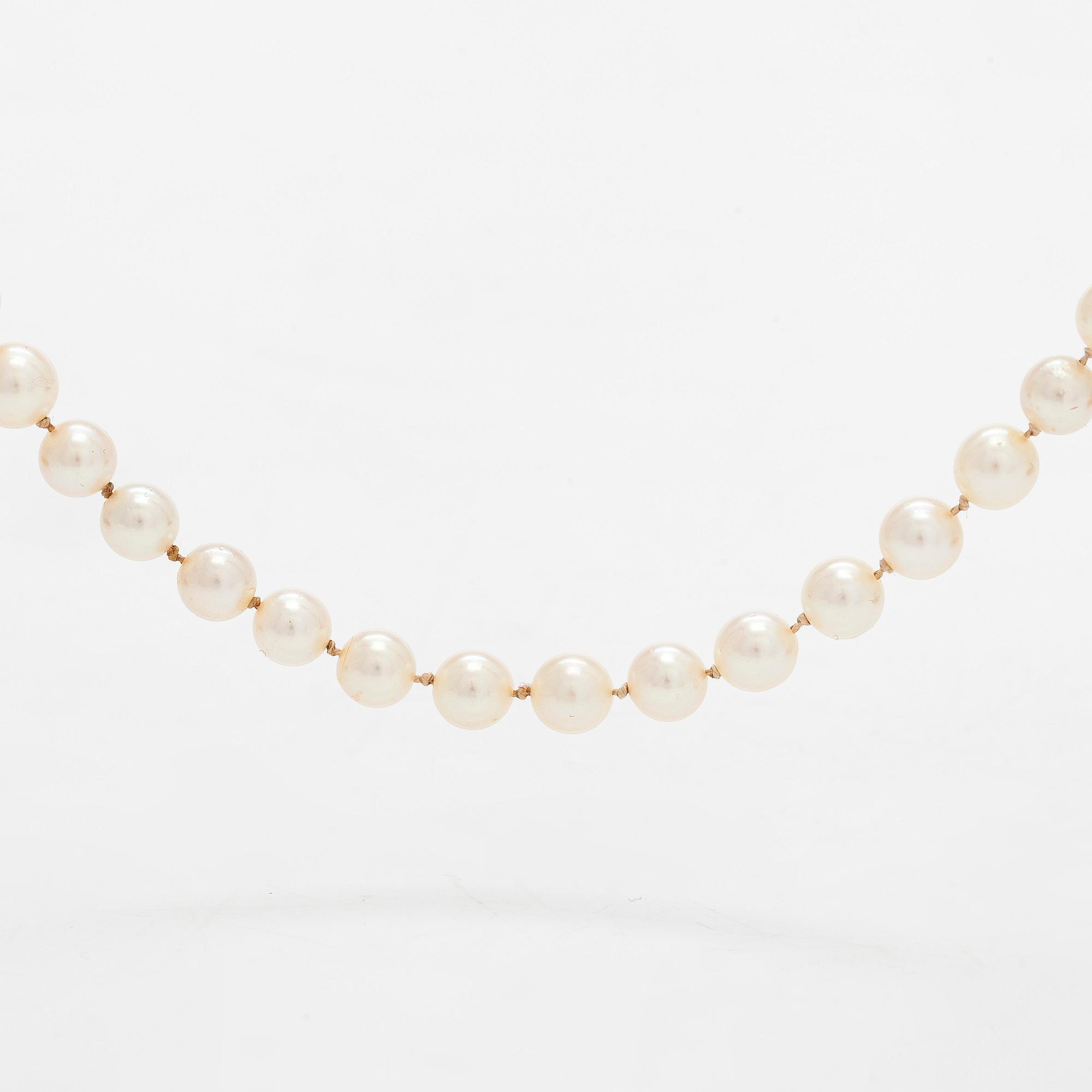 Helminauha, viljeltyjä helmiä.