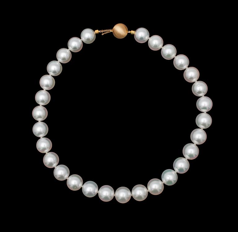 A cultured South sea pearl necklace, 14,6-13,8 mm.