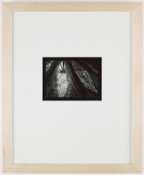 Olivia Parker, photograph signed on verso.