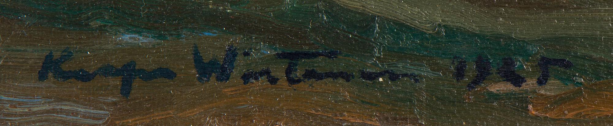 Kaapo Wirtanen, Landscape.