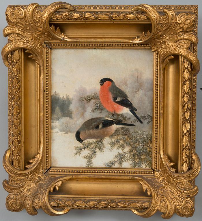 Ferdinand von Wright, BULLFINCHES.