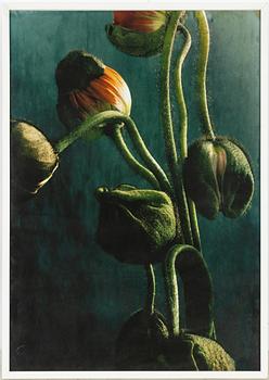 Ewa-Marie Rundquist, "61".