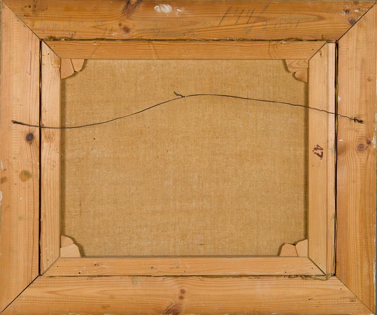 Grigor Auer, Lake view from Koli.