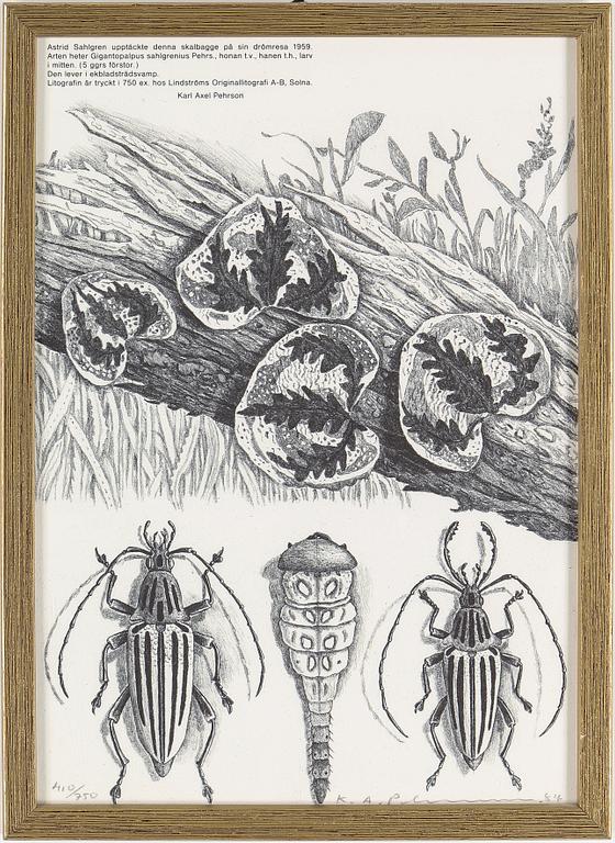 KARL AXEL PEHRSON, 9 st, litografier, signerade, olika dateringar och numreringar.