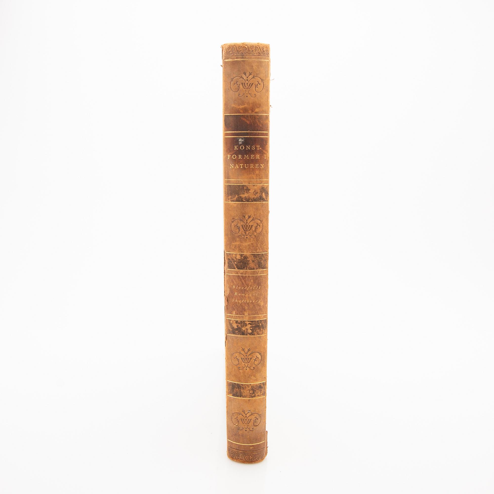 Book, "Art Forms in Nature", Karl Blossfeldt, Spamersche Buchdruckerei, Leipzig, 1930.