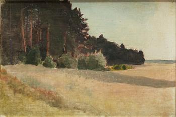 Eero Järnefelt, Landskap.