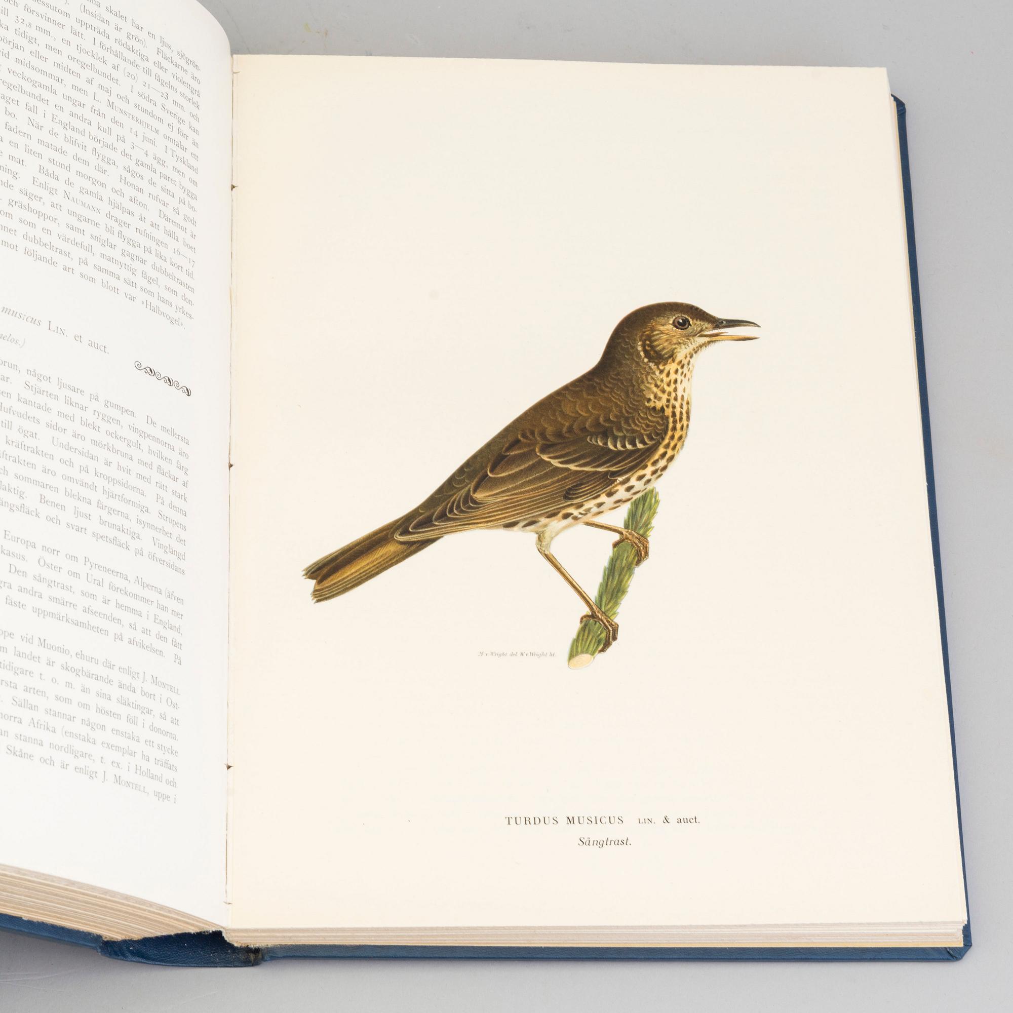 M, W & F VON WRIGHT, bokverk, 3 band, "Svenska fåglar", A. Börtzells tryckeri AB Stockholm, 1924-1929.