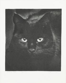 LENNART OLSON, foto, sign, nr 46/200 o dat 1981.