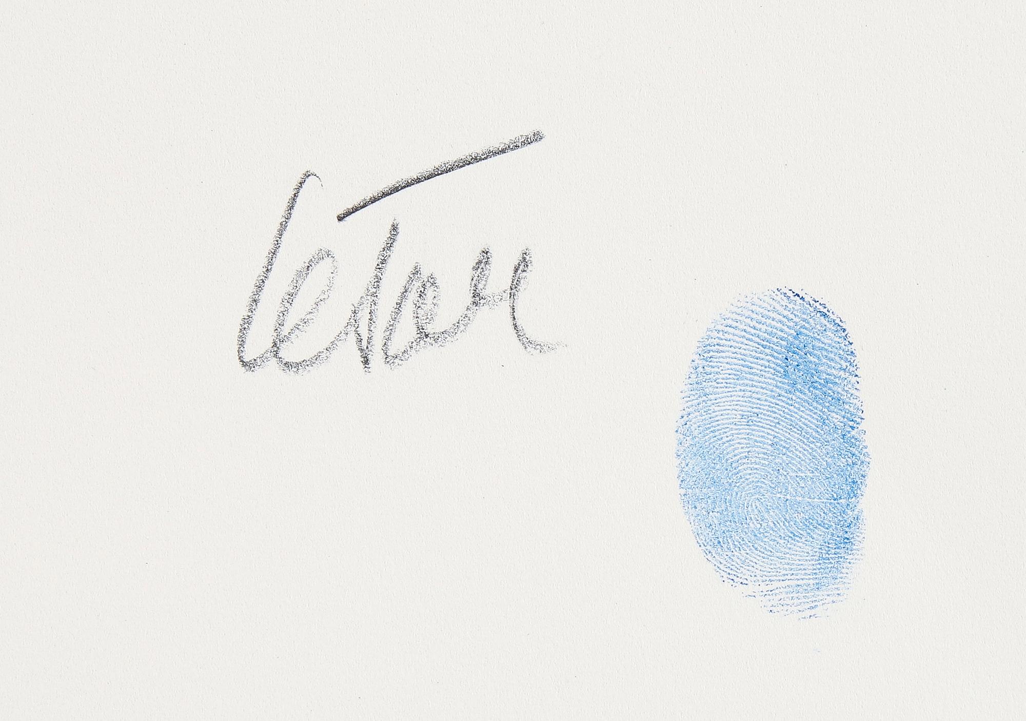 CÉSAR BALDACCINI, färgserigrafi, 1998, signerad 78/200.