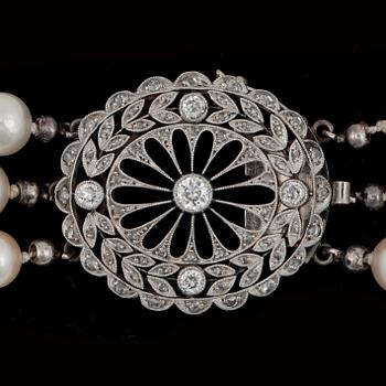 A 3-strand cultured pearl necklace.