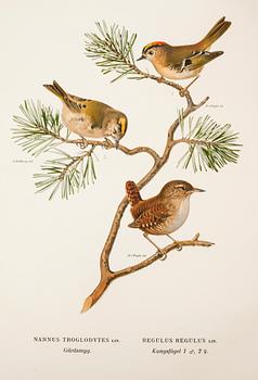 M, W & F VON WRIGHT, books, three volumes, 'Svenska fåglar', A. Börtzells tryckeri AB Stockholm, 1924-1929.