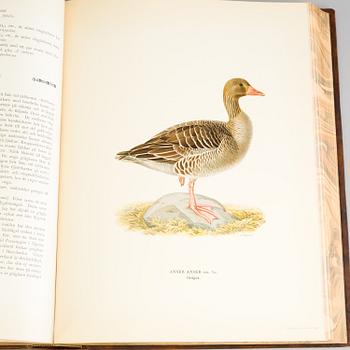 a set of three "Svenska fåglar" books by VON WRIGHT M, W & F, stockholm 1927-1929.