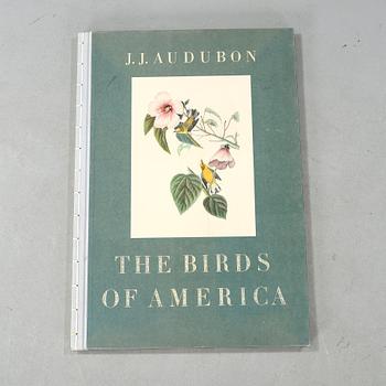 BOK, "The Birds of America", volym I, John James Audubon, numrerad 456/500, 1973.