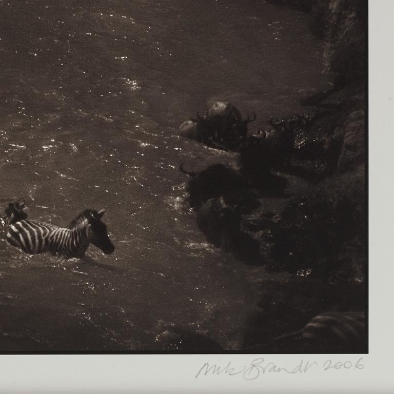 Nick Brandt, "Zebra River Crossing, Masai Mara, 2006".