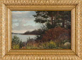 Fanny Churberg, Dry Twigs at the Shore.