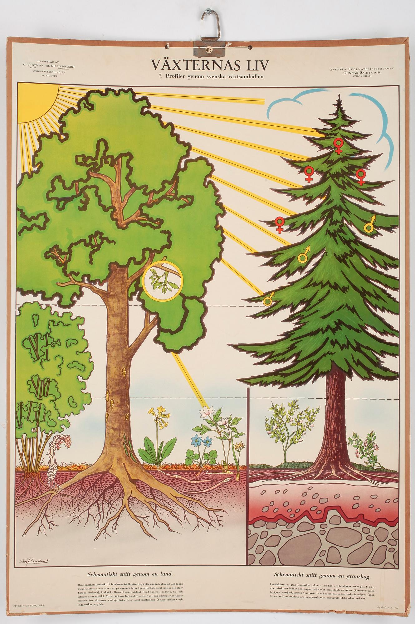 SKOLPLANSCHER, 4 st, 1900-tal.