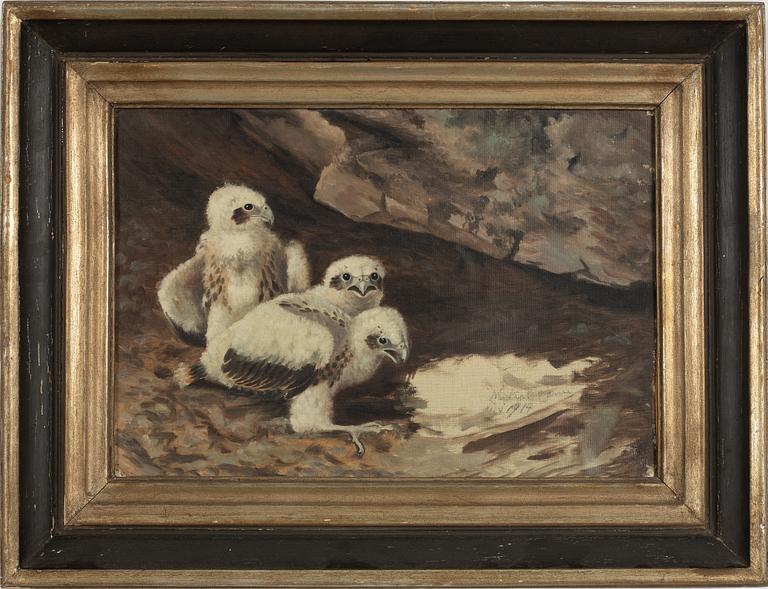 Matti Karppanen, Kungsörnsungar.