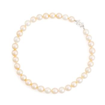 413. Collier odlade Söderhavspärlor.