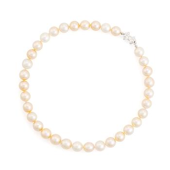 A cultured South Sea pearl necklace.