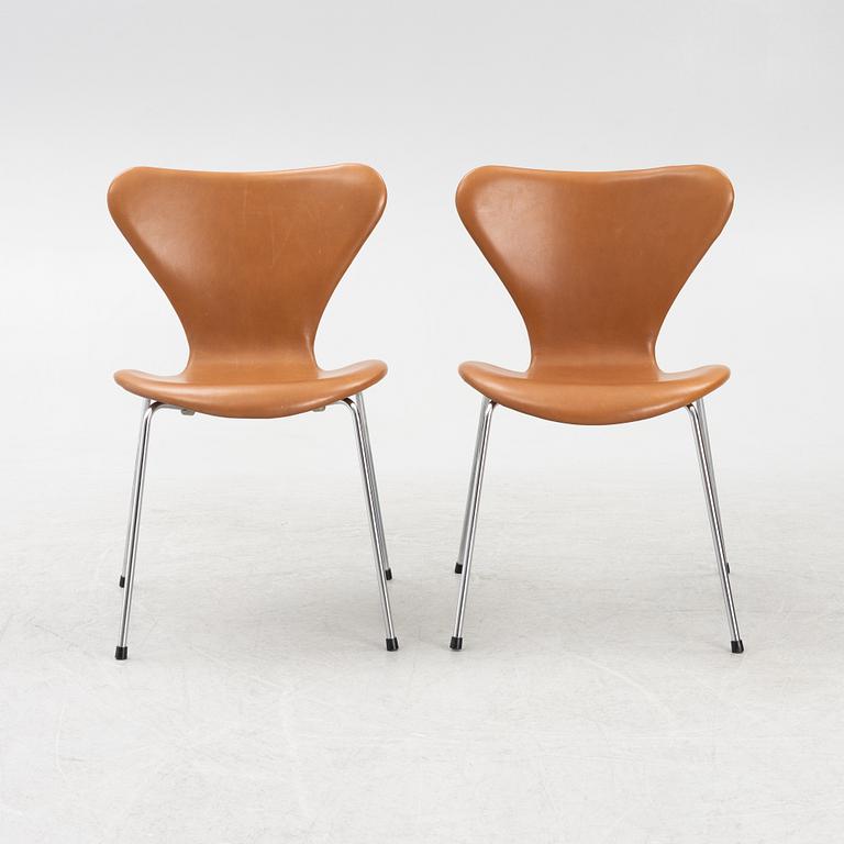 Arne Jacobsen, stolar 6 st. "Sjuan", Fritz Hansen, Danmark.