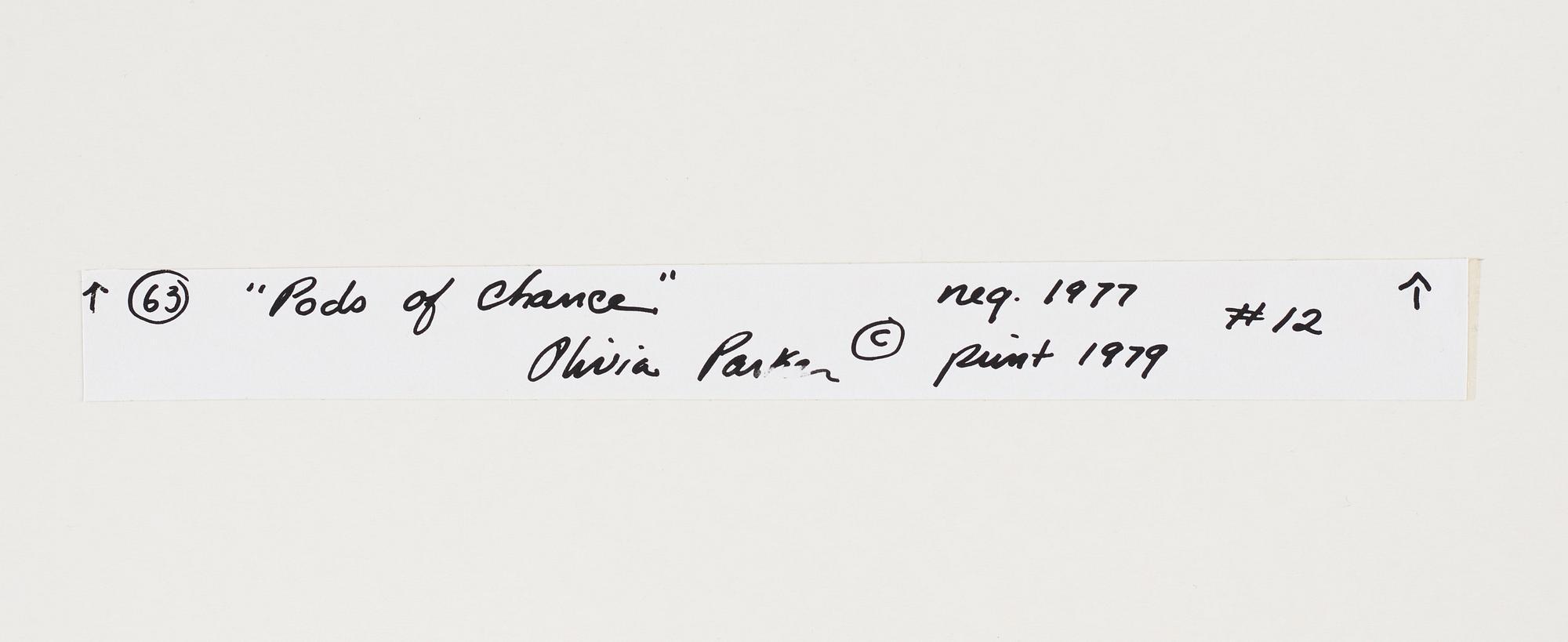 Olivia Parker, photograph signed on verso.