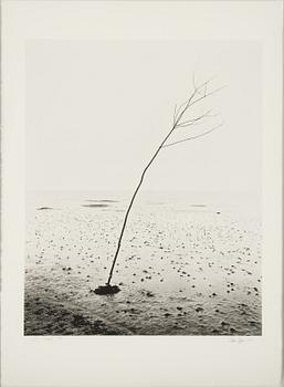 Håkan Ludwigson, photograph signed and numbered 2/25.
