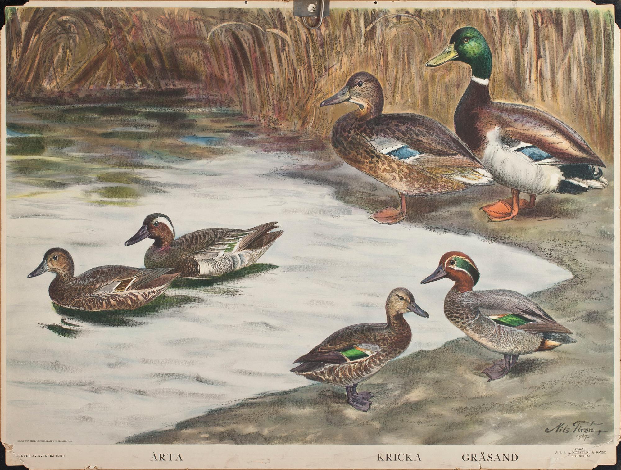 SKOLPLANSCHER, 5 st, 1900-tal.