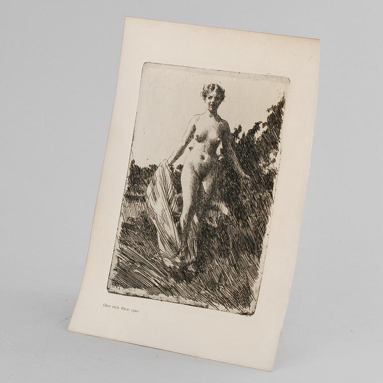 ANDERS ZORN, etsning, signerad i plåten 1907, ur Ord och Bild 1910.