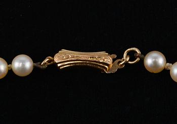 A NECKLACE, cultivated seawater pearls 5 - 8,5 mm. Clasp 18K gold. Length 54 cm.