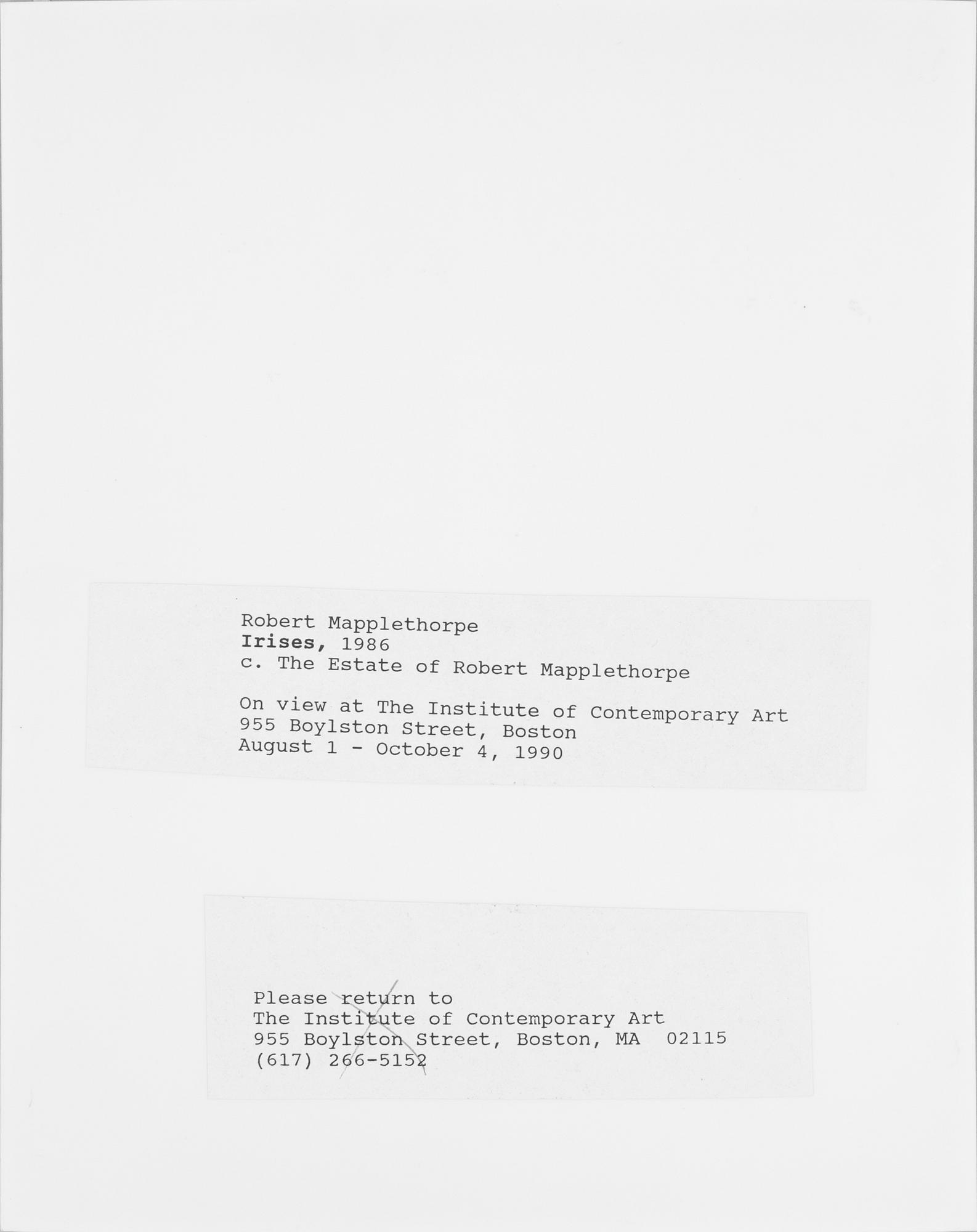 ROBERT MAPPLETHORPE, pressfotografi, silver gelatin på s.k. RC-papper, 1986.