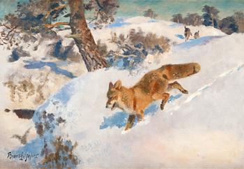 398. Bruno Liljefors, Fox in a winter landscape.