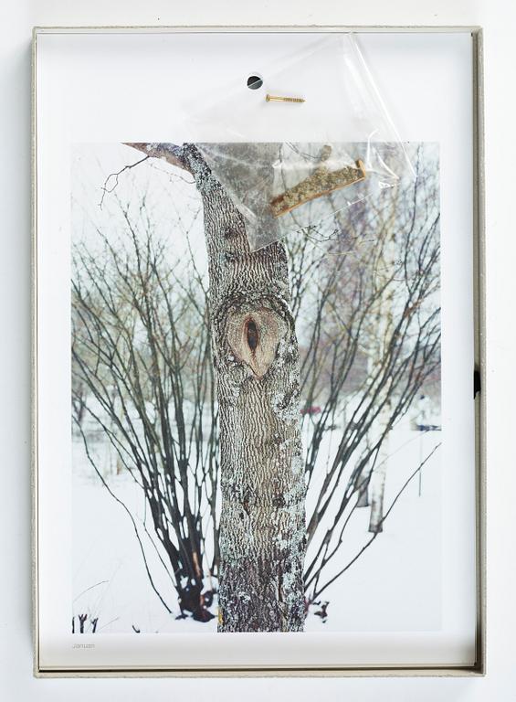 Andreas Eriksson, Almanacka 2011.